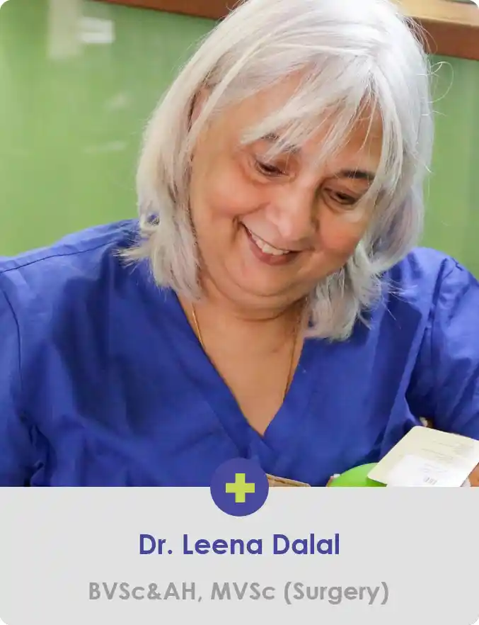 Portrait of Dr Leena Dalal