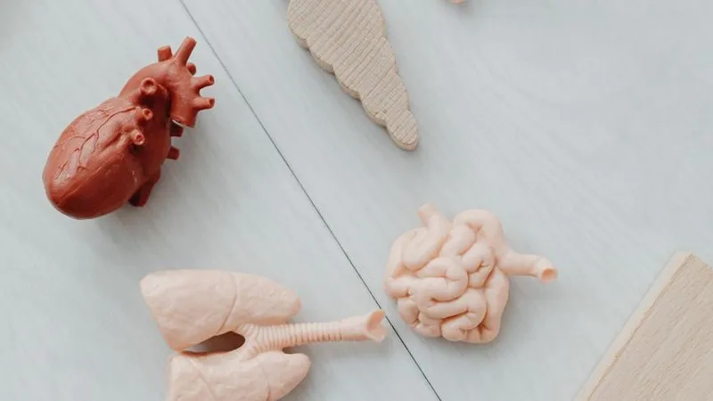Diabetic Kidney Disease: How Diabetes Damages the Kidneys Over Time