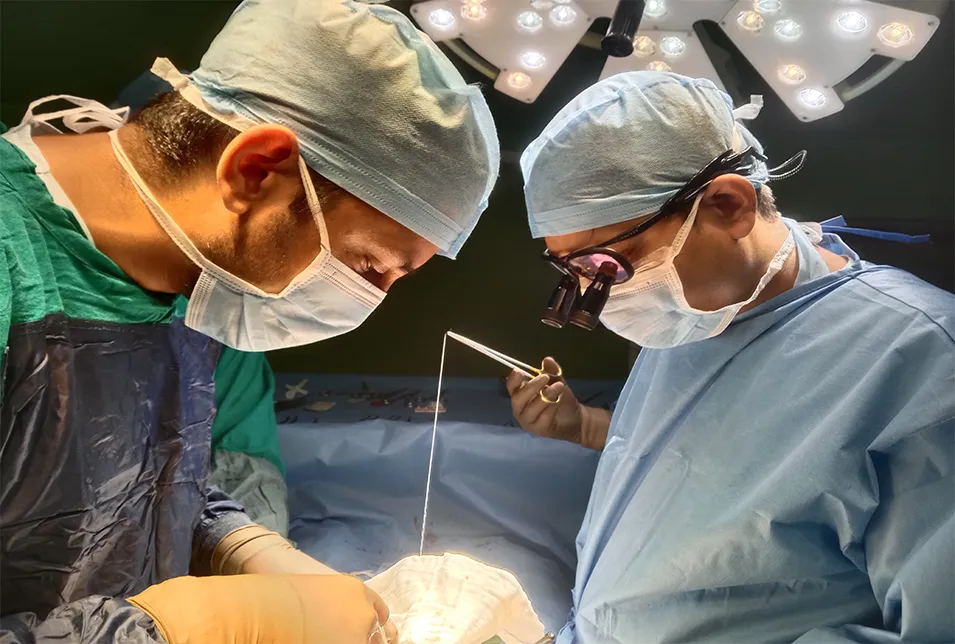 Kidney Transplant Surgery at Apex Hospitals