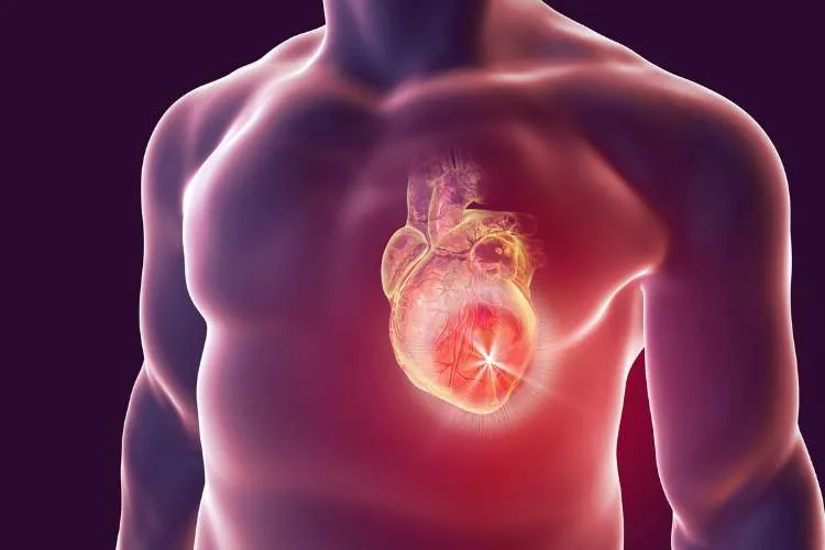 Common Heart Diseases: Symptoms, Causes, and Prevention