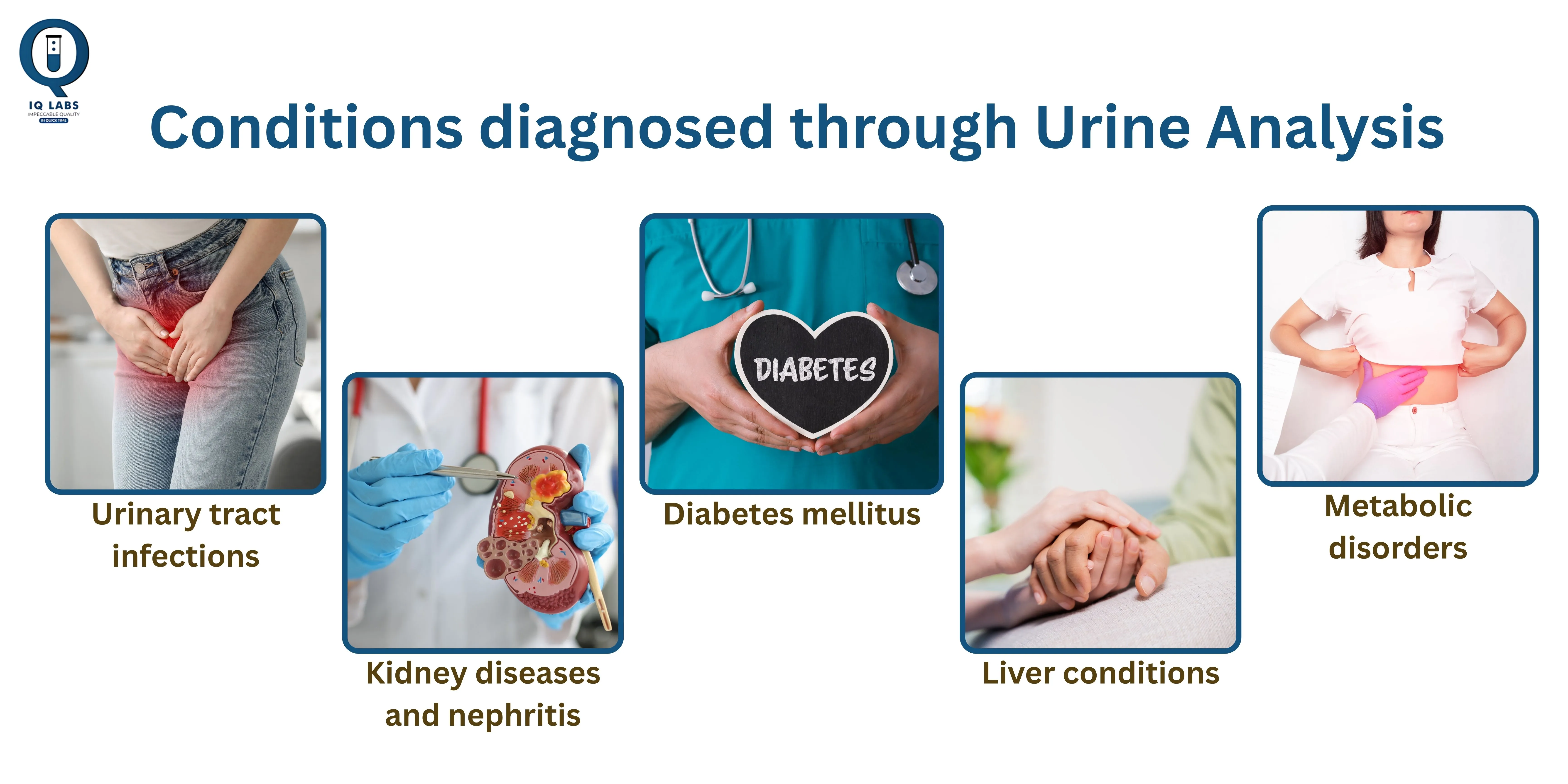 Urine Routine & Microscopy Test in [City] | IQ Labs Diagnostics