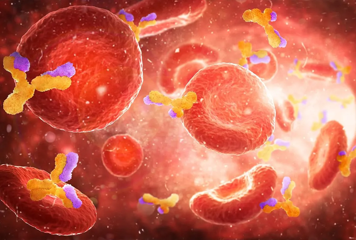 Haematology Department