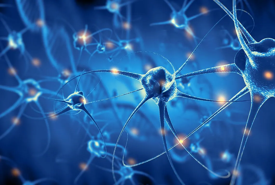 Neurology Care