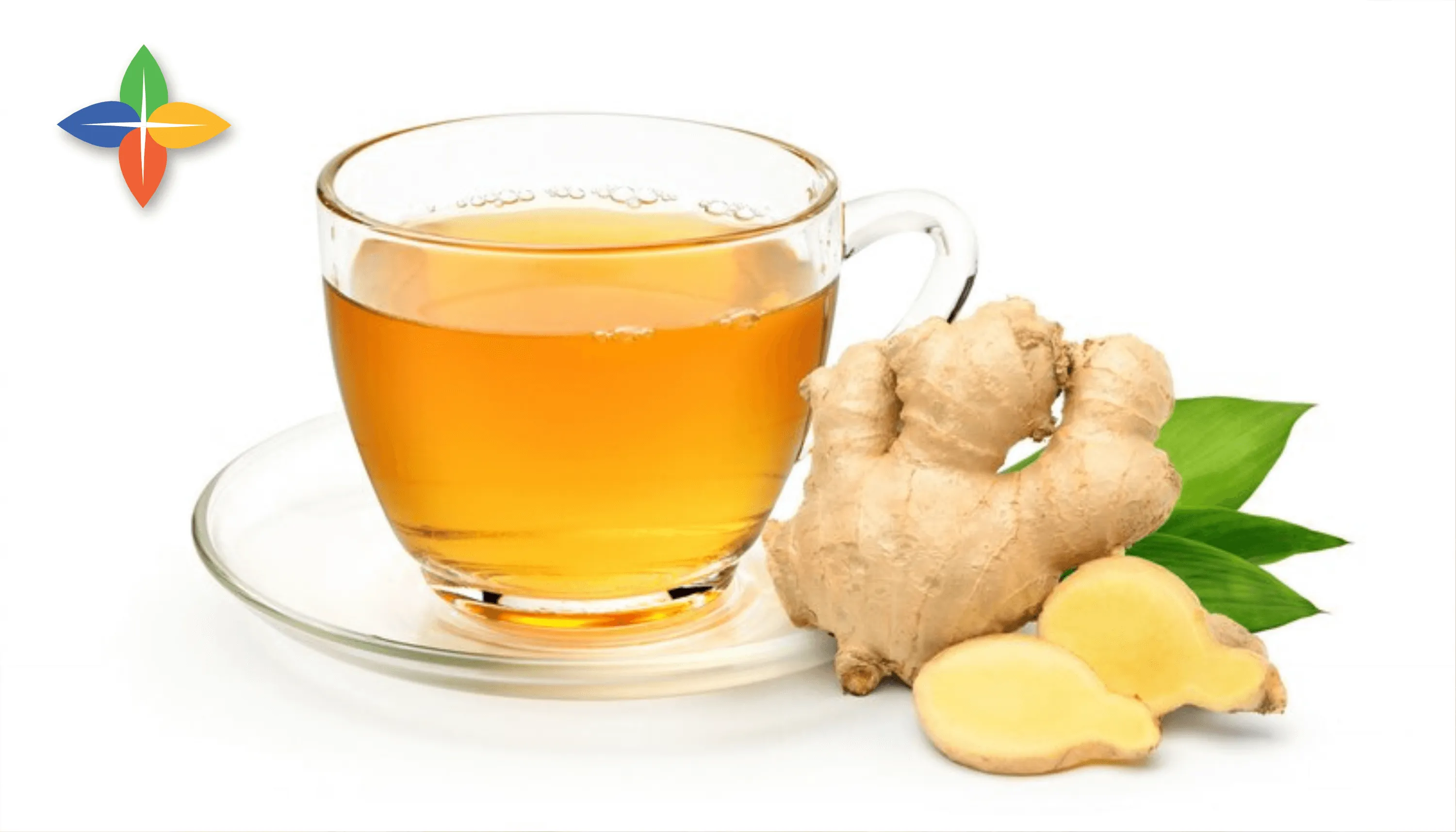 Ginger