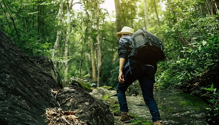 Hiking
