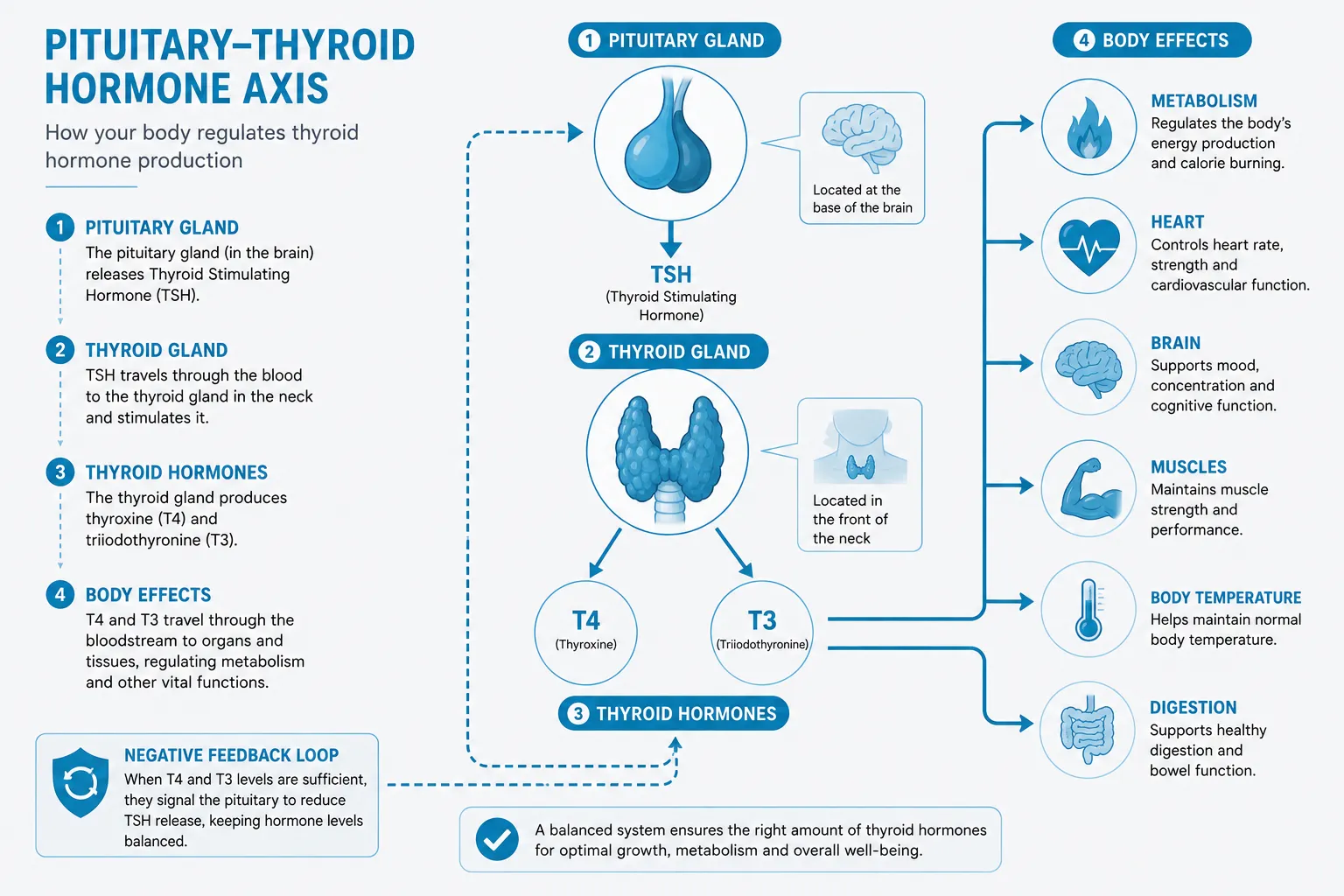 thyroid problems in gurgaon