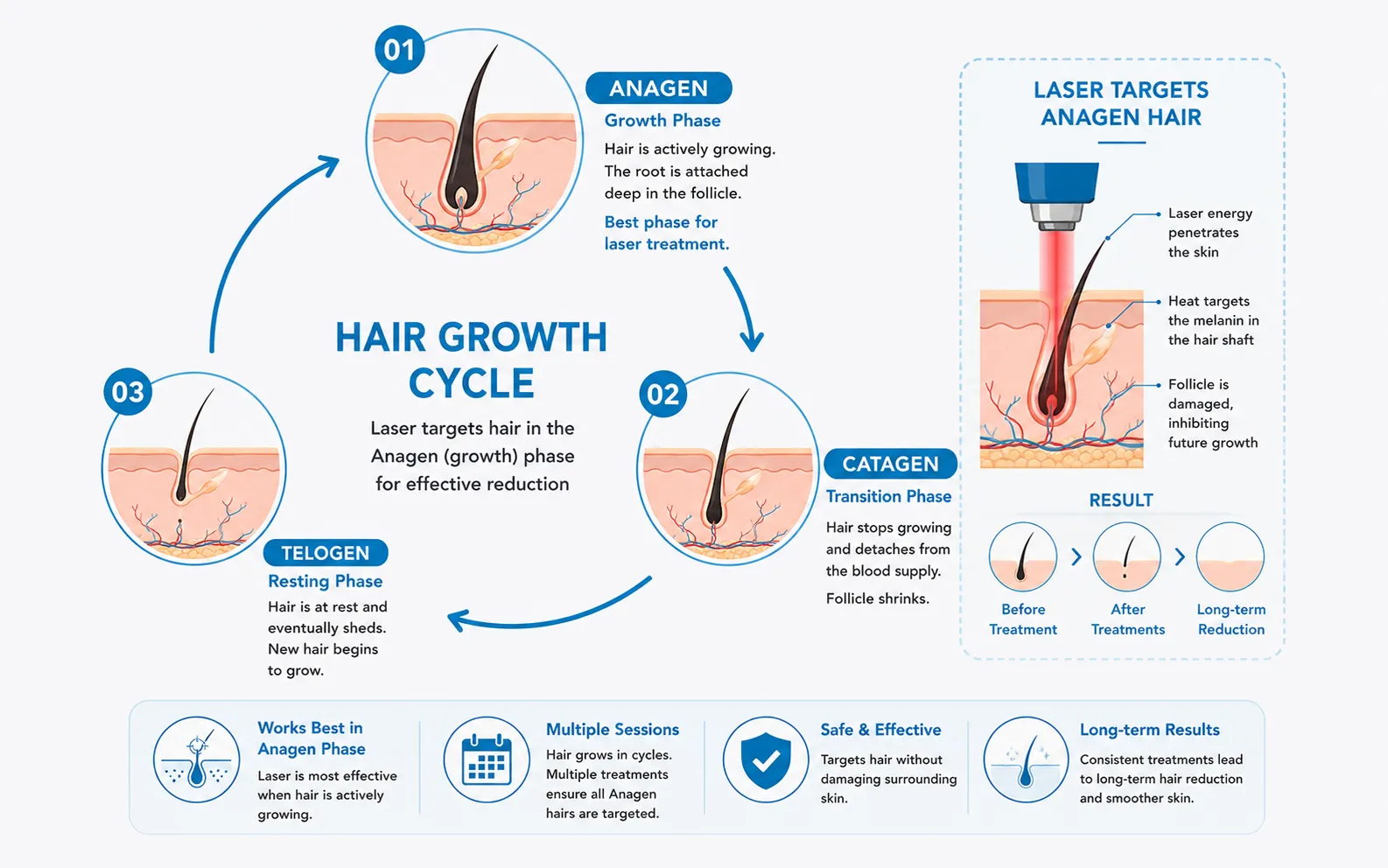 hair growth cycle cost and details in gurugram