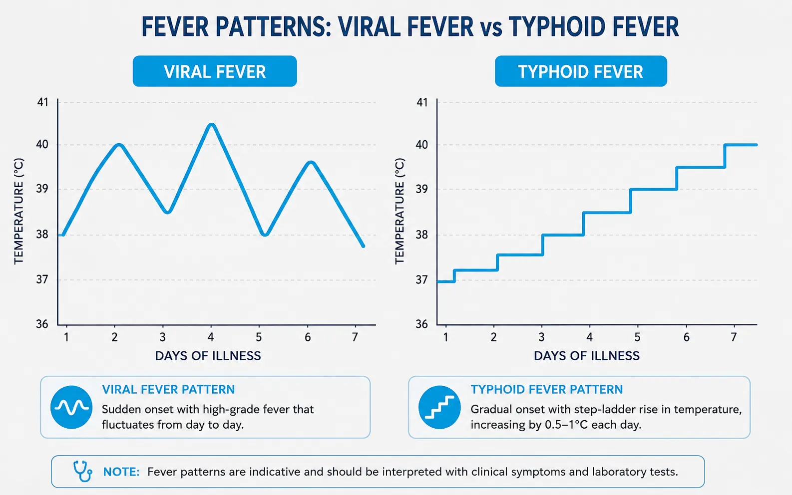 viral fever vs typhoid symptoms 