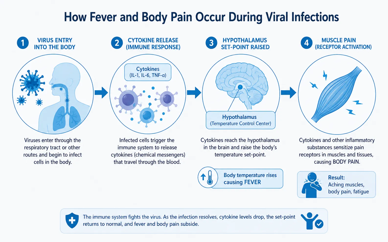 how fever and body pain occur during viral infections