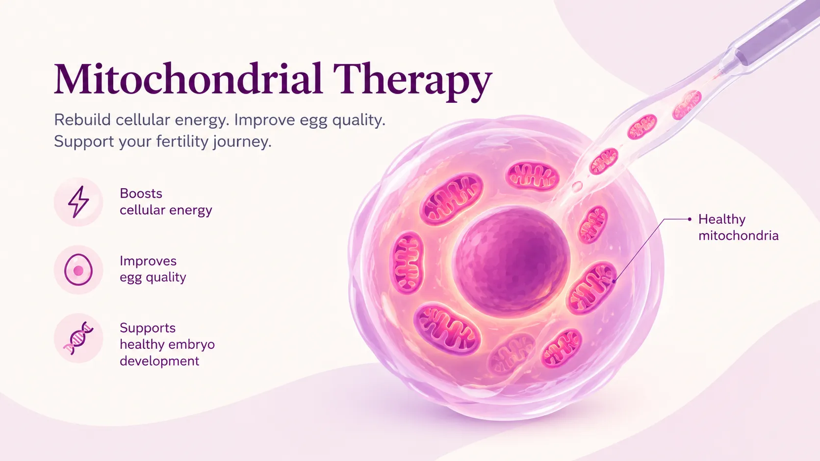 Mitochondrial therapy